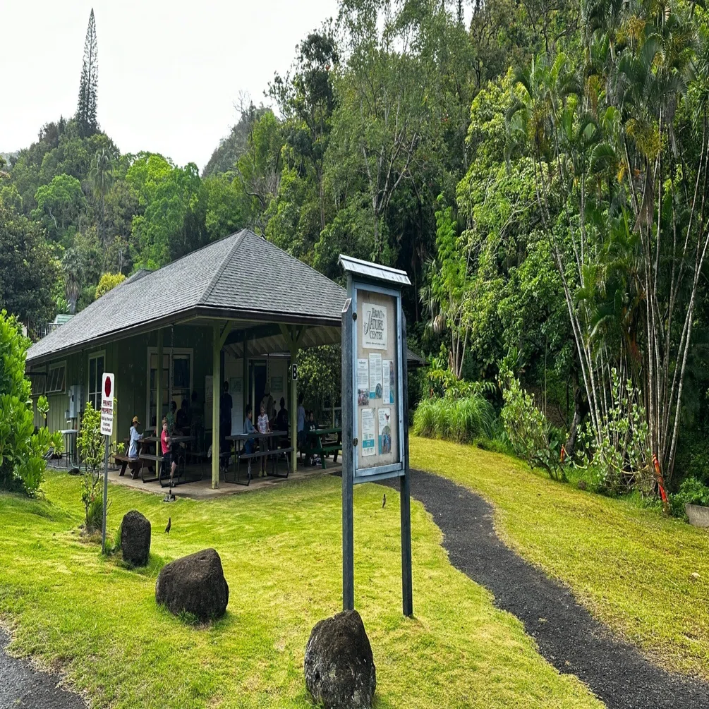 ハワイ日記【ホノルル】サマーキャンプとカイムキ散策｜青山さやか｜旅note