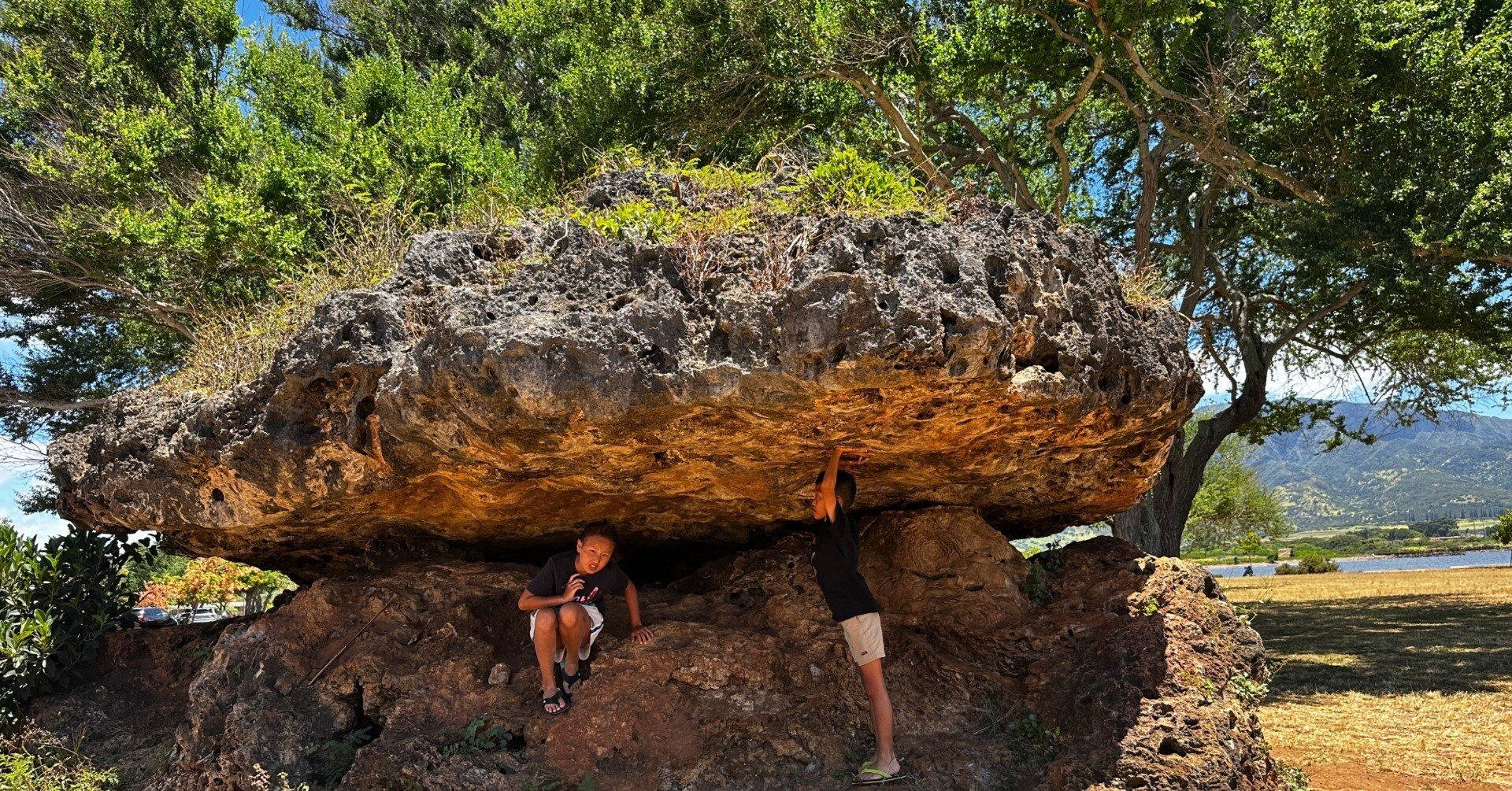 ハワイ日記【北部とホノルル】青いアサイーボウルとブルワリー｜青山