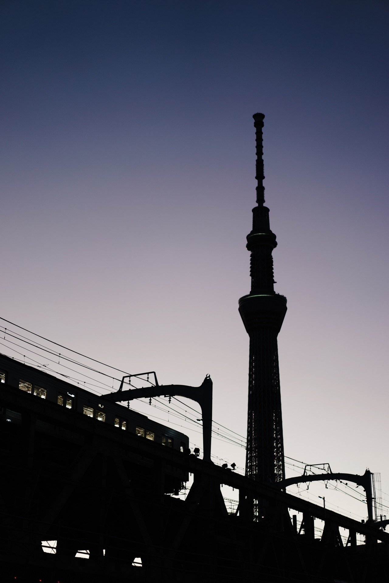 値下げ可 FE 55mm F1.8 za SONY 単焦点レンズ 作例あり 嘘だろ？】Eマウント最高級の描写力＆超軽量コンパクト！Sonner