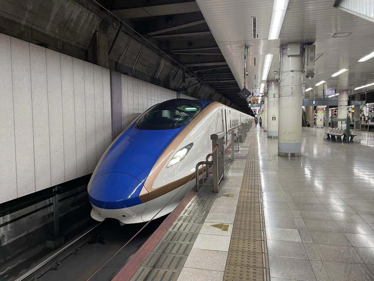 とき10号上野行き〜上越新幹線の大増発〜｜塩ってぃ