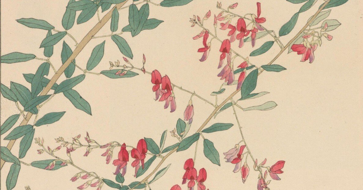 非水百花譜 第12輯｜日本花卉文化株式会社