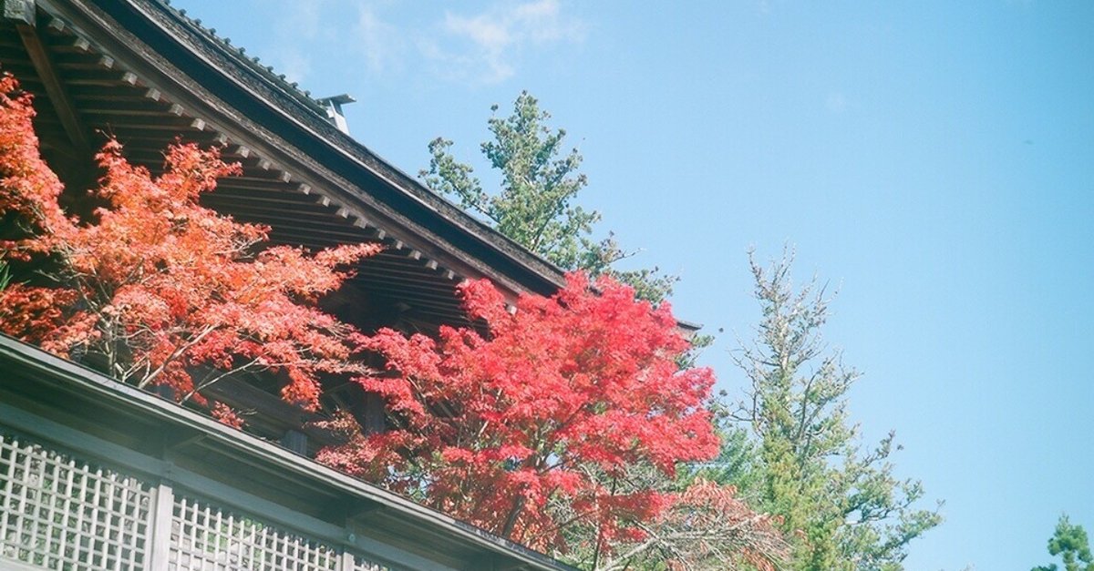 20年経った「期限切れフィルム」｜タカハシコウキ