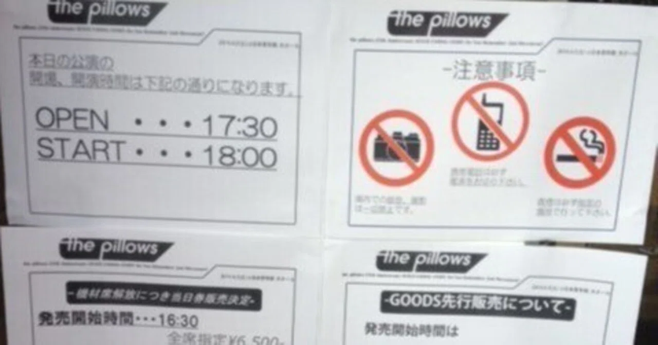 the pillows 25th Anniversary NEVER ENDING STORY “Do You Remember