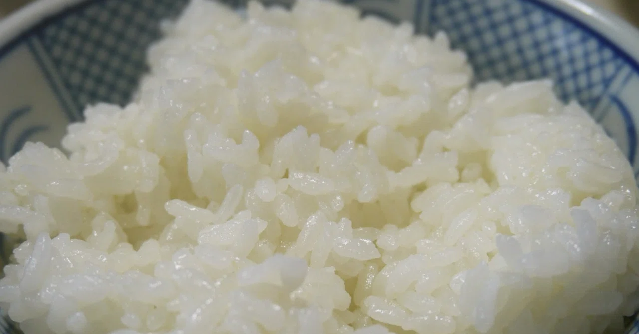 What is the fermentable dietary fiber 