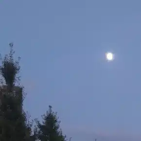 自乗