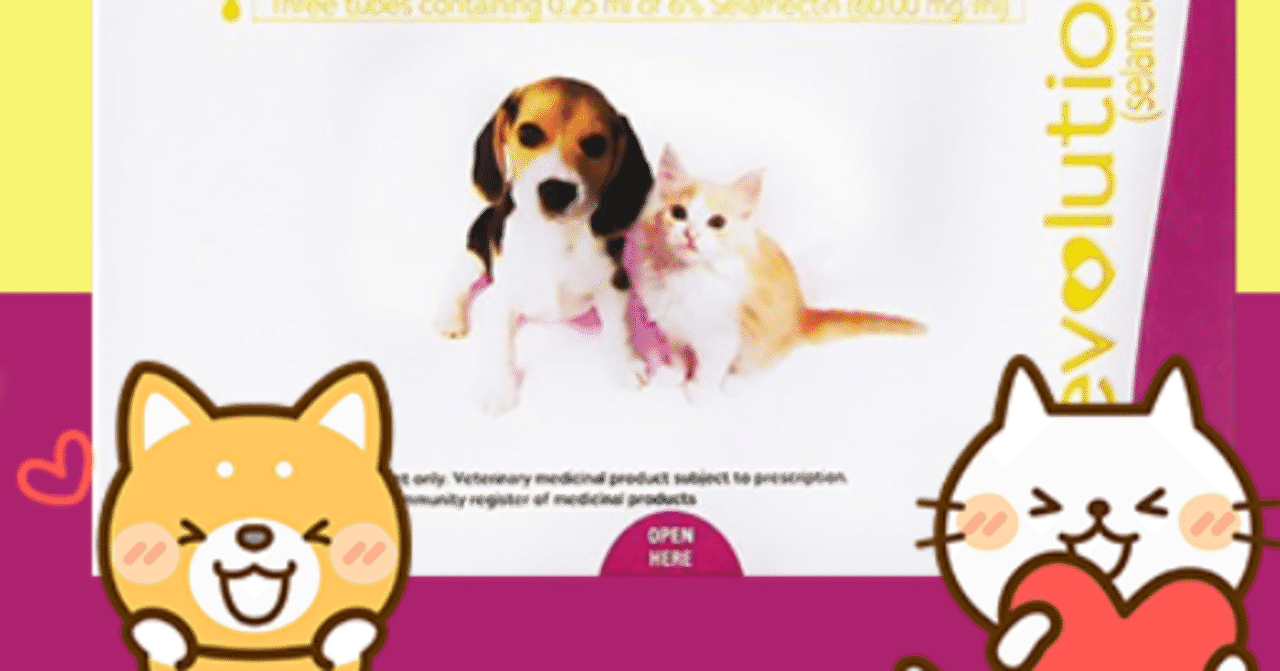 マルチーズ まもるの19年11月のノート Note