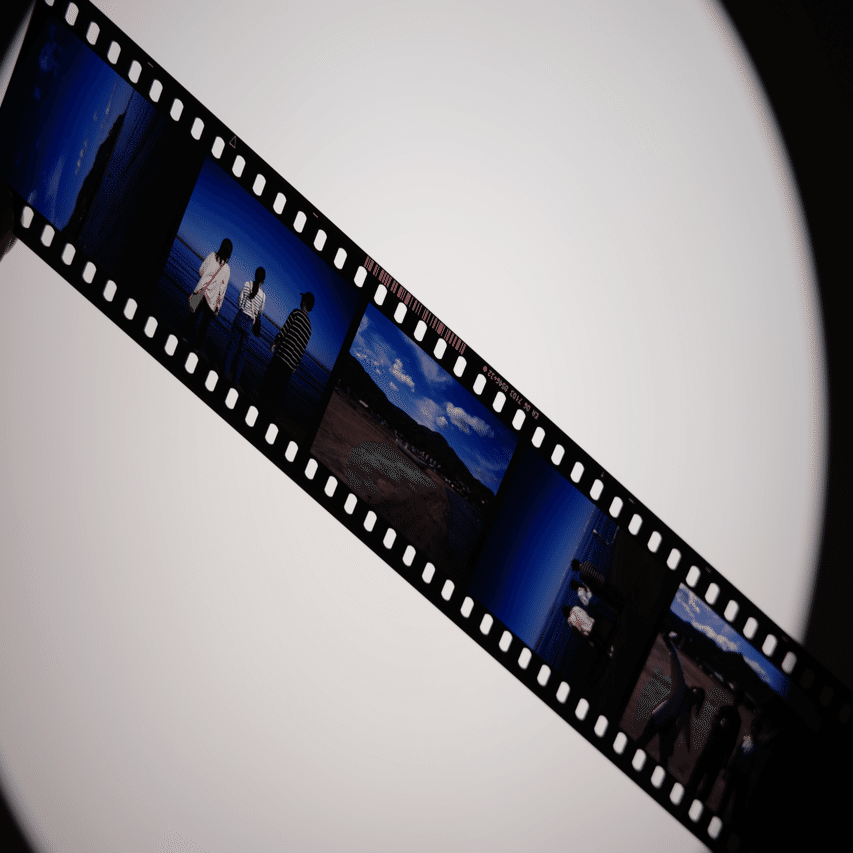 fujifilm 大判45 QuickLoad リバーサルフィルム fujifilm 大判45 QuickLoad リバーサルフィルム Yahoo!オークション