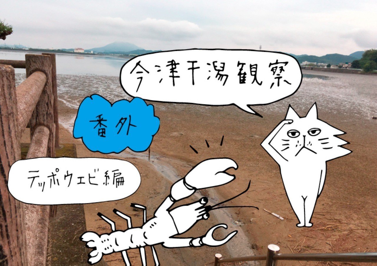 テッポウエビ編 しばた みなみ Note