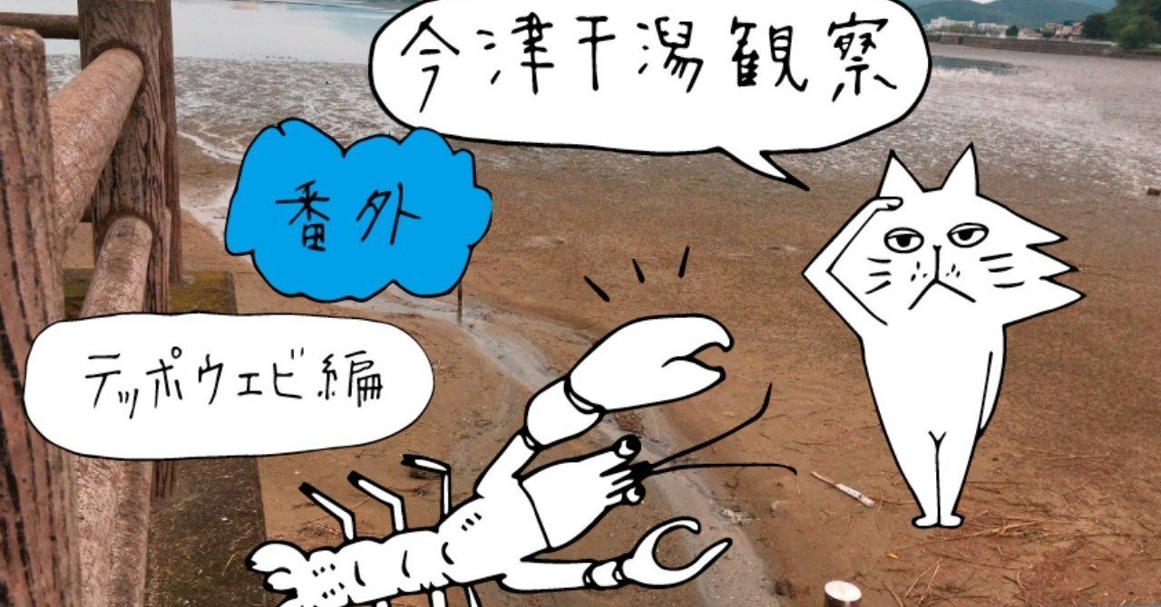 テッポウエビ編 Paint Creator Minami 柴田みなみ Note