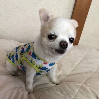 つぶ太郎