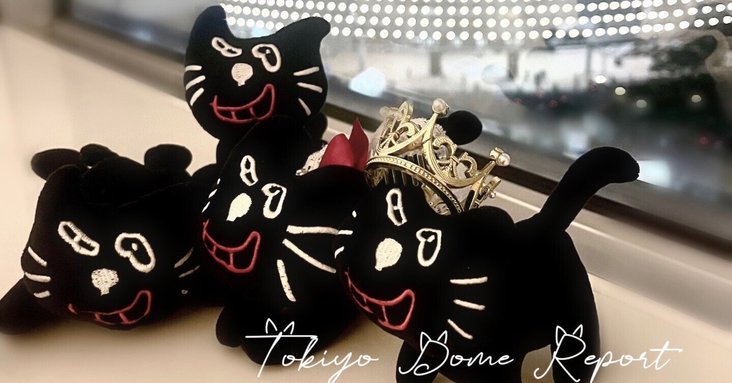 キヨ猫　マスコットキーホルダー　キヨさん : キヨ 新 キヨ猫ぬいぐるみ、キヨ猫マスコット