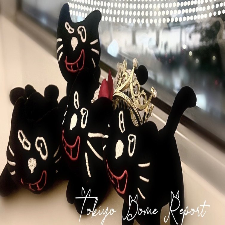 𝐓𝐎𝐊𝐈𝐘𝐎 𝐃𝐎𝐌𝐄 𝐑𝐄𝐏𝐎𝐑𝐓 𝟐𝟎𝟐𝟒.𝟏𝟎.𝟑𝟏｜わみ