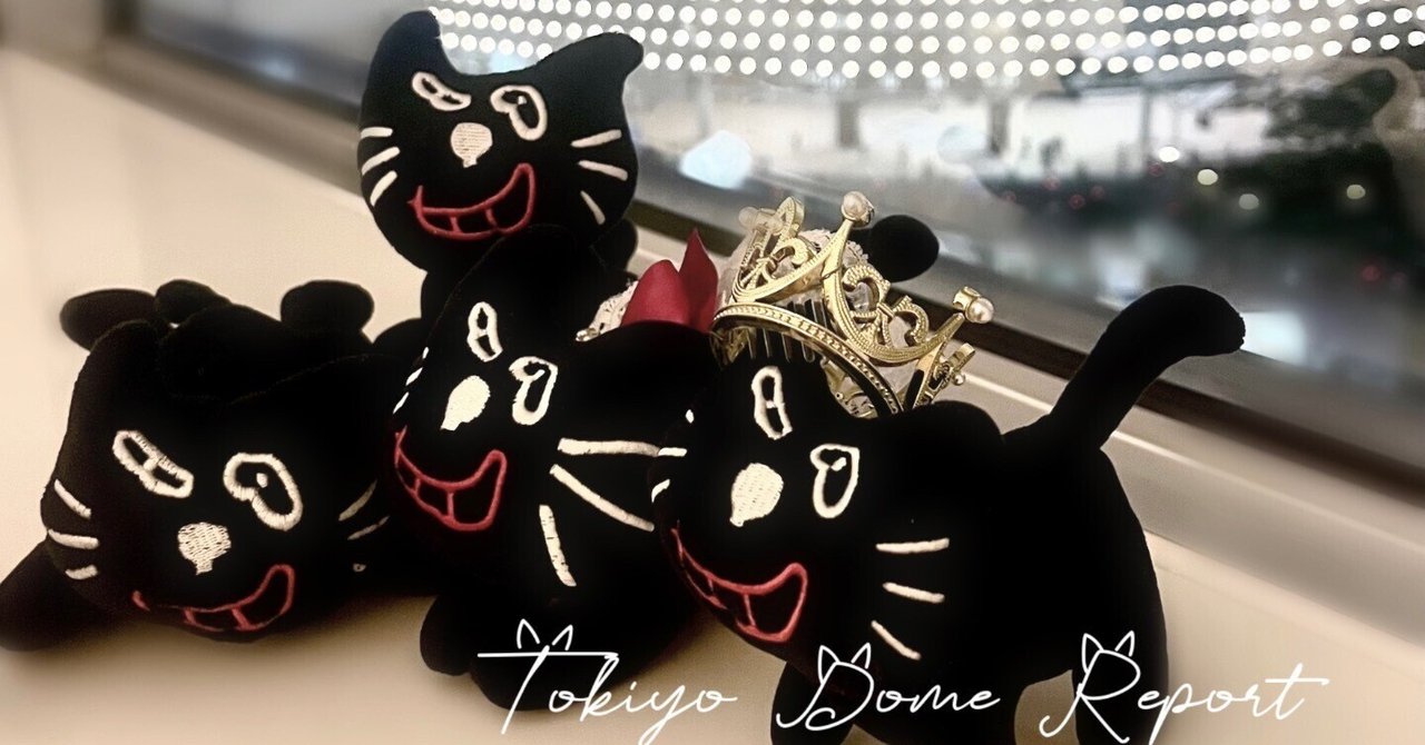 キヨの東キヨドーム in TOKYO DOME キヨ猫 ニットキャップ（キヨ