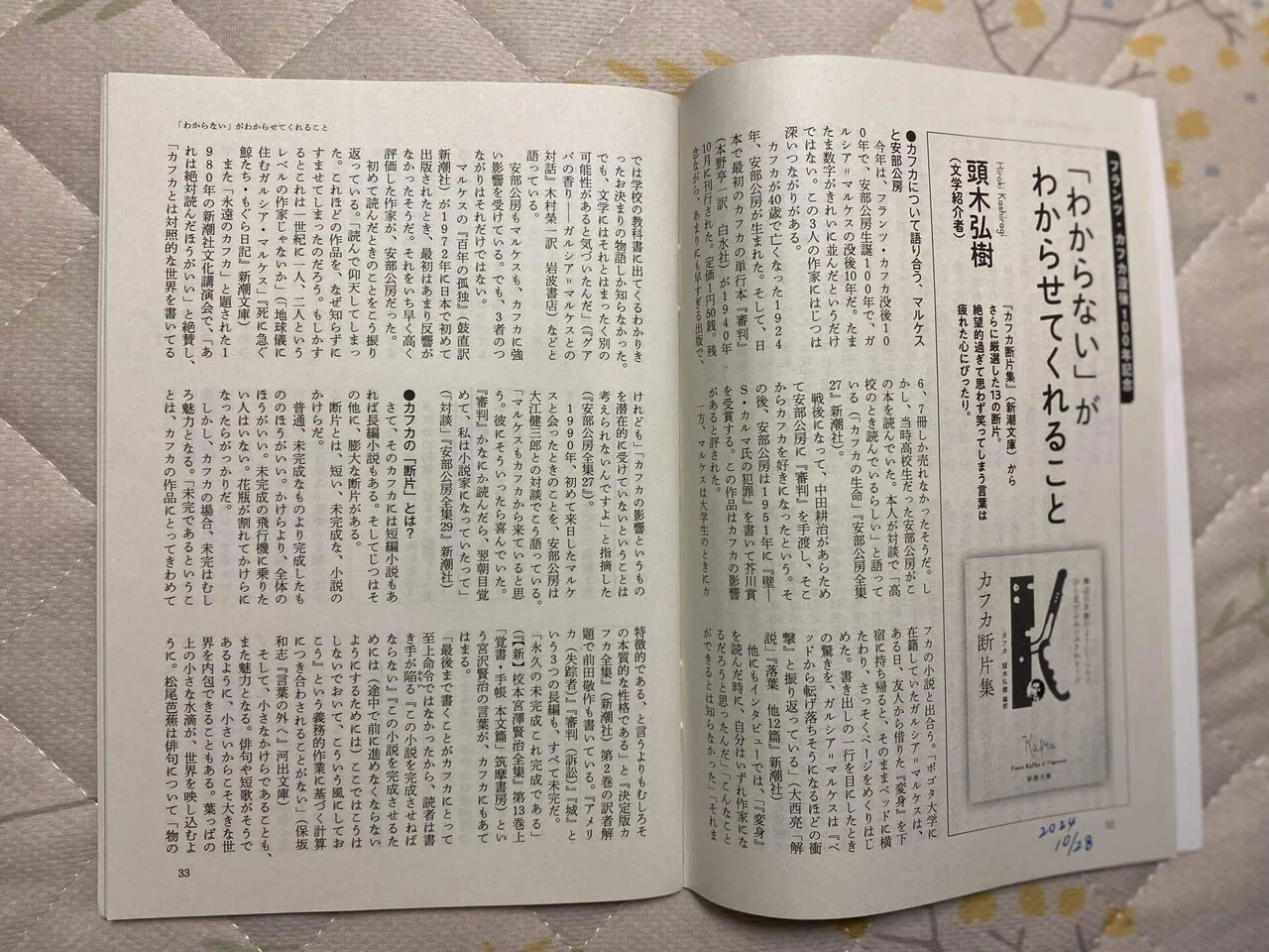 正しさでは救われないー『絶望名人カフカの人生論』カフカ・頭木弘樹