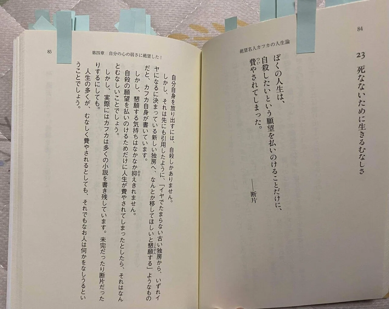 正しさでは救われないー『絶望名人カフカの人生論』カフカ・頭木弘樹