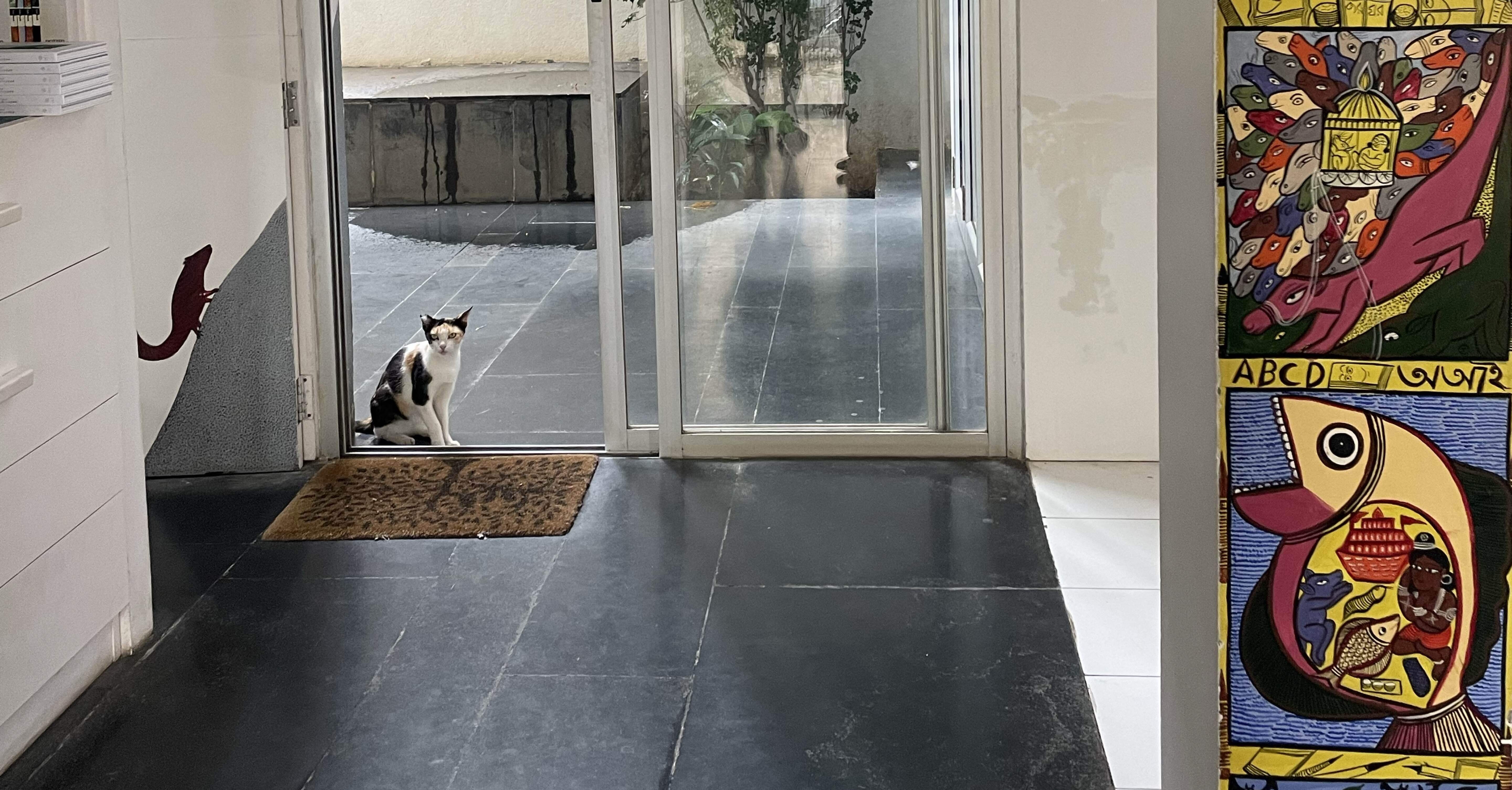 Day14 インド】インド出版社タラブックスに行ってきた｜Sayo