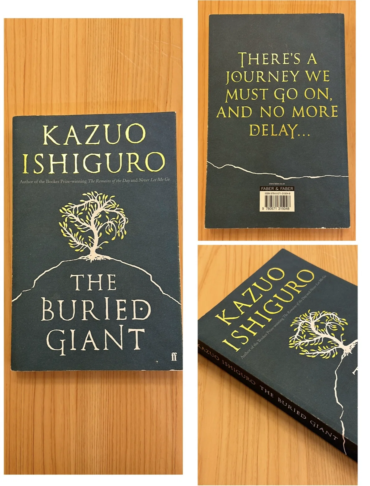 Book Recommend 9】The Buried Giant｜Allex's Library