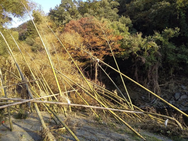 20191116嵐山渓谷9台風被害2