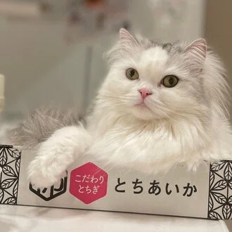 ふじ