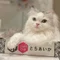 ふじ