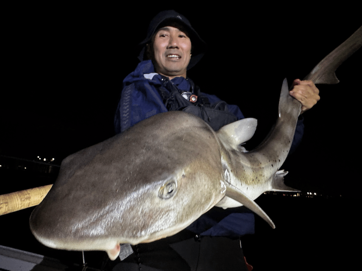 新版 ごみから地球を考える 岩波ジュニア新書 549 八太昭道 | 古