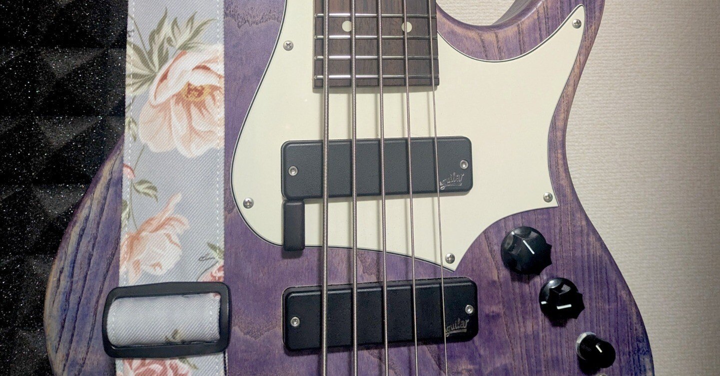 5弦ベース　ティモリス風塗装。 SCHECTER GUITAR RESEARCH AC-EXB-5-AveMujica-Timoris/SIG [Artist