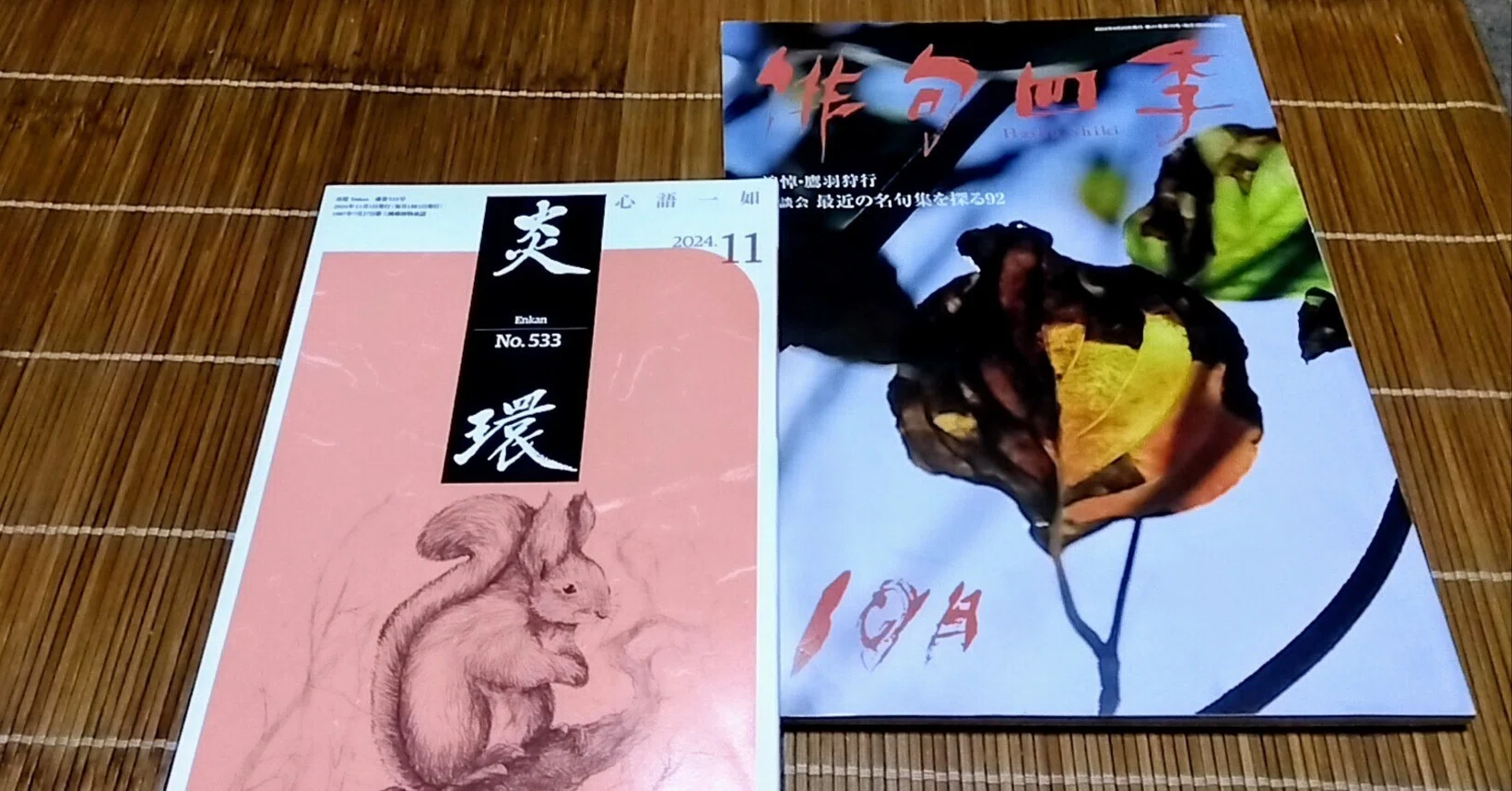 俳句を読む】第28回炎環賞受賞作＆『俳句四季』2024年10月号・精鋭16句