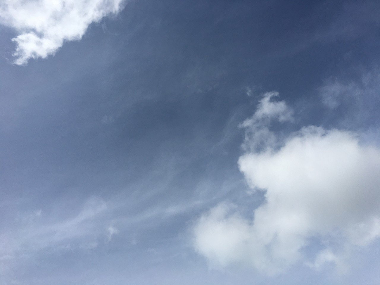 オマイラサンチェス 目