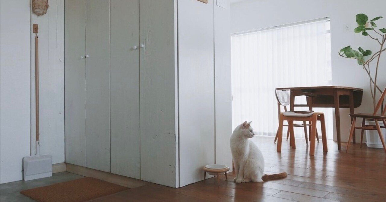 断捨離ハイに気をつけて｜hikaru miyakawa