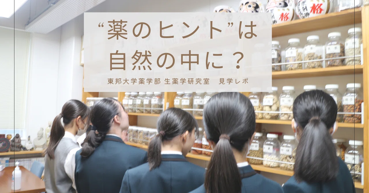 身近な自然が薬に？生薬学教室の研究現場を探る – 東邦大学薬学部