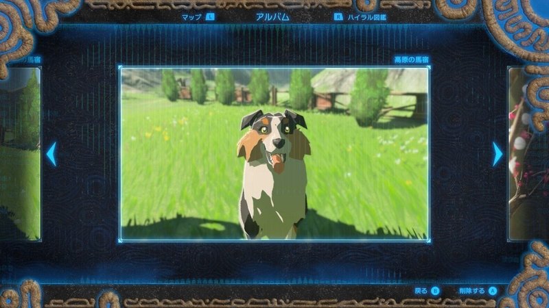 動物編 ゼルダの伝説 Breath Of The Wild めぶき Note