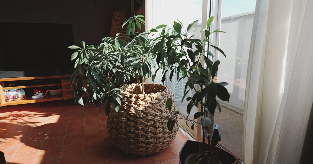 なんだかんだ叫んだって｜roco