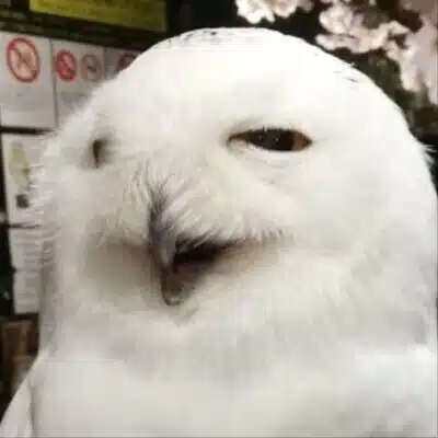 釋徹信