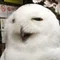 釋徹信