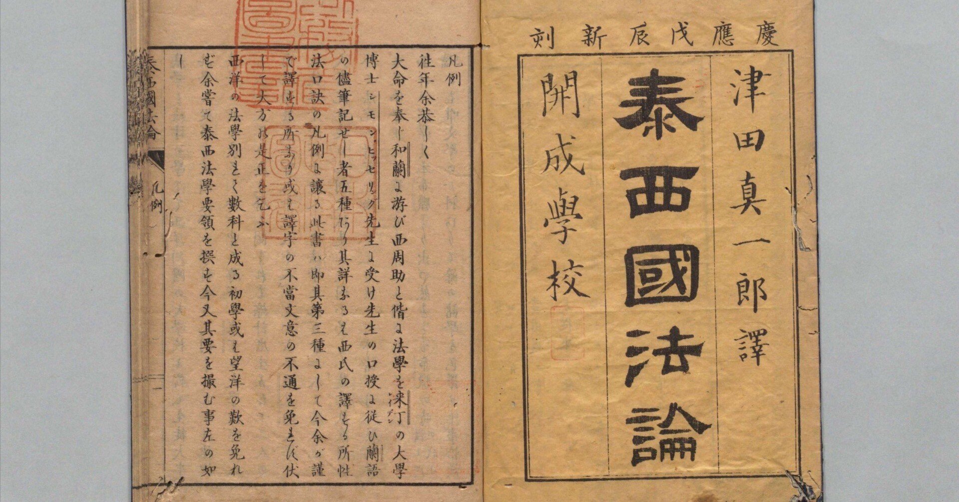 a87a7a57318454bedae8c11cbf7e8c