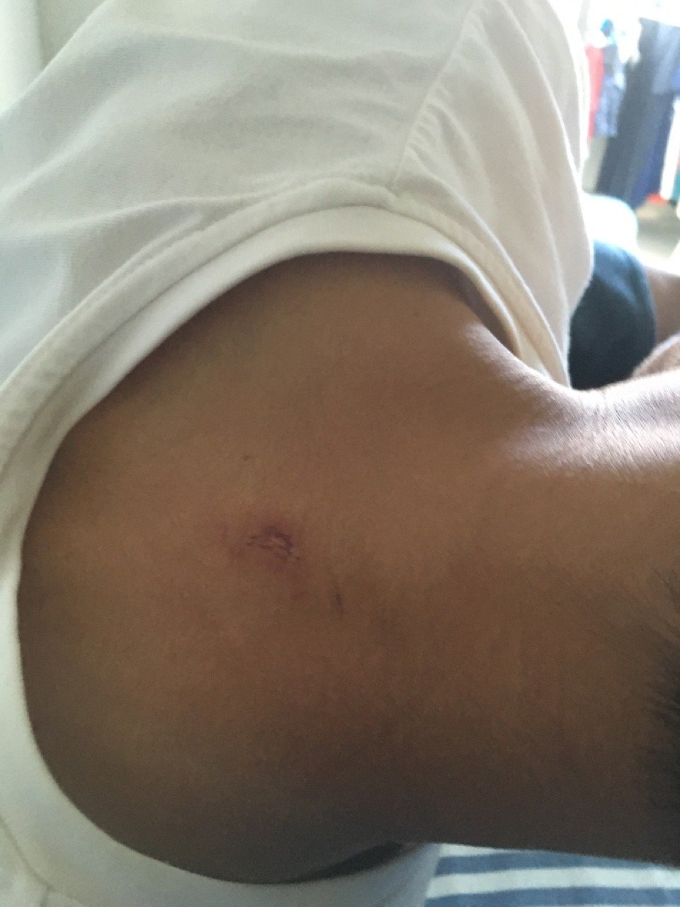 部活を辞めたい学生に 部活辞めたのって就活に響く ちーなわ Note