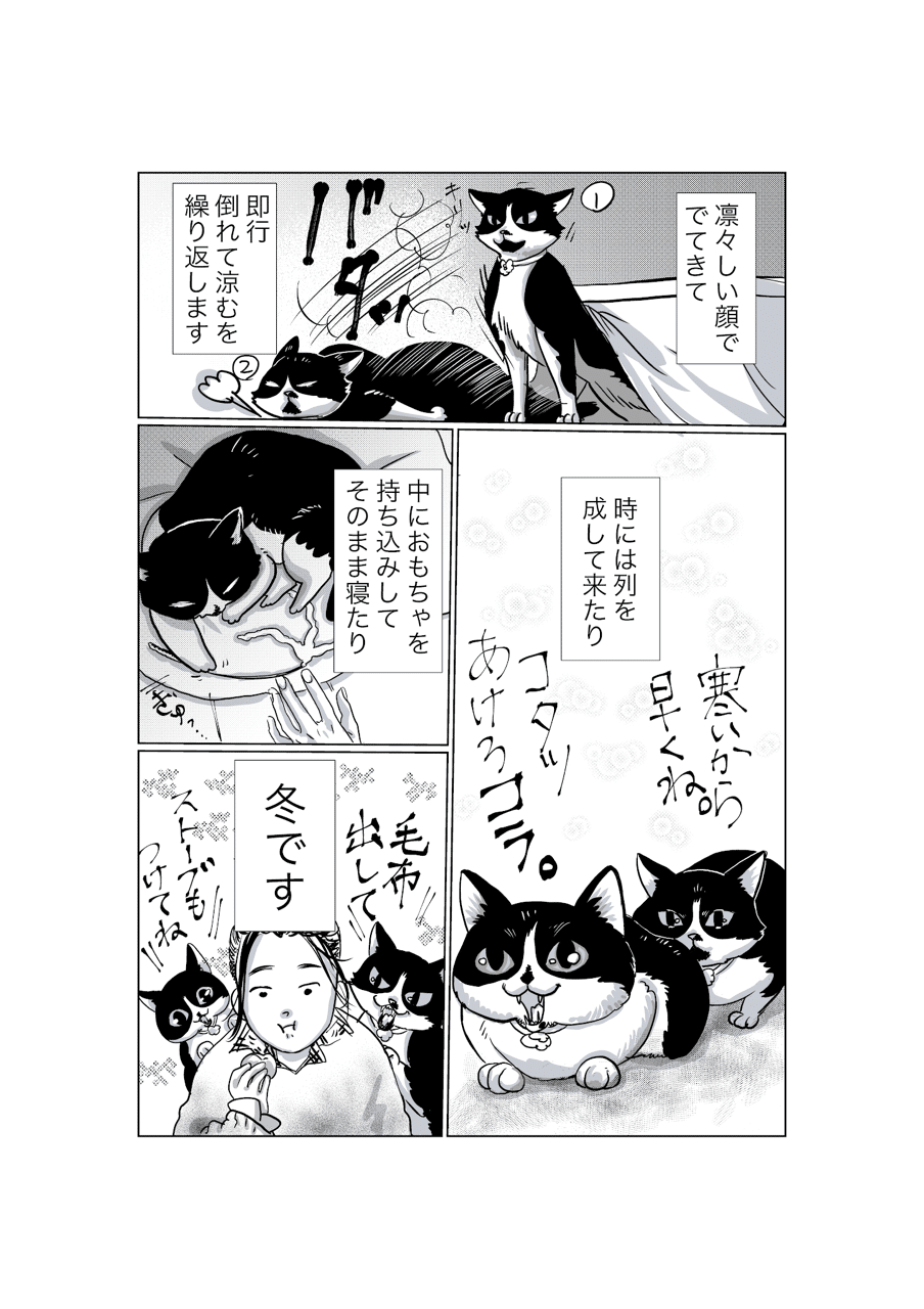 冬とこたつと猫 堀内テヅカミ Note