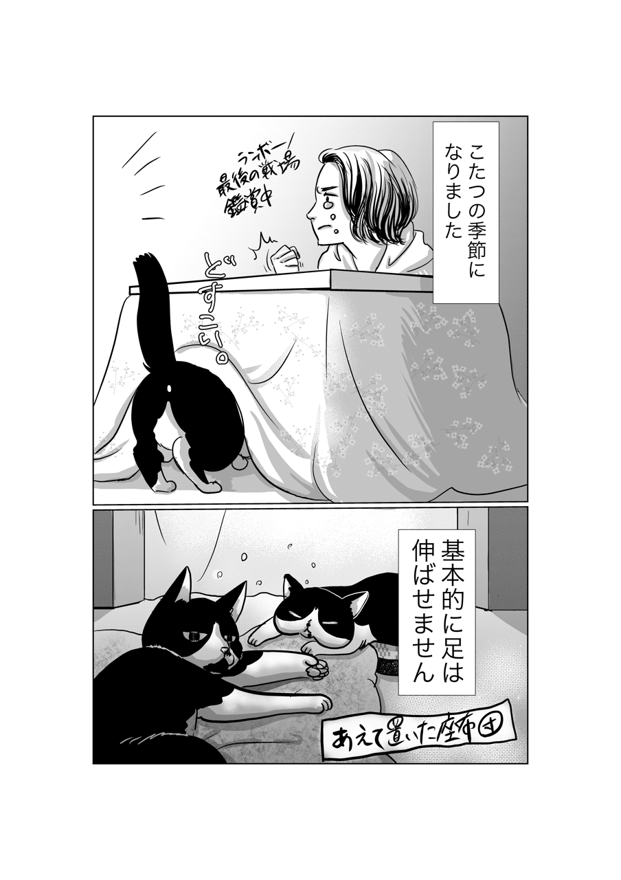 冬とこたつと猫 堀内テヅカミ Note