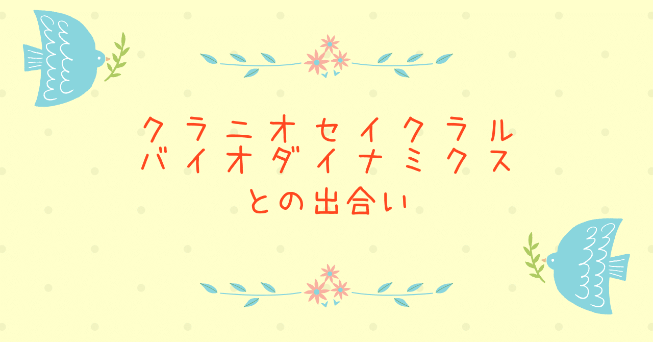 クラニオセイクラル・バイオダイナミクスとの出合い｜きむらみえこ