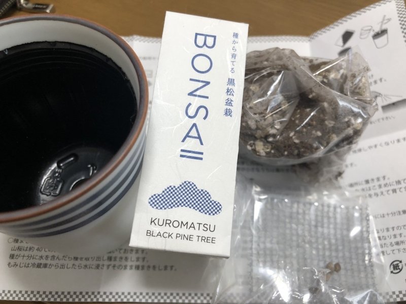 種から育てる黒松盆栽 村木藤志郎 Note