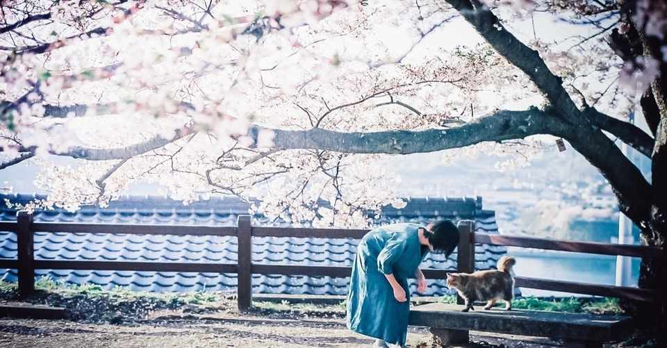 花は盛りに 報道を機に改めて考える 責任 の意味 子連れの金次 サラリーマンは気楽な稼業 Note
