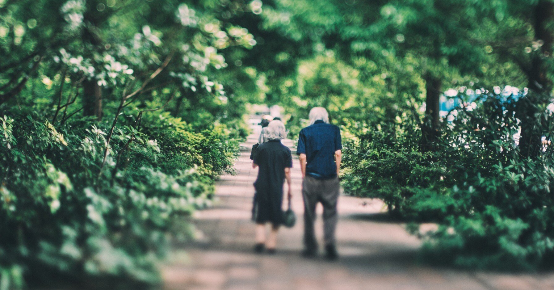 写真撮影の参考にしてください ID VOX 【証明写真機】 専用サイト