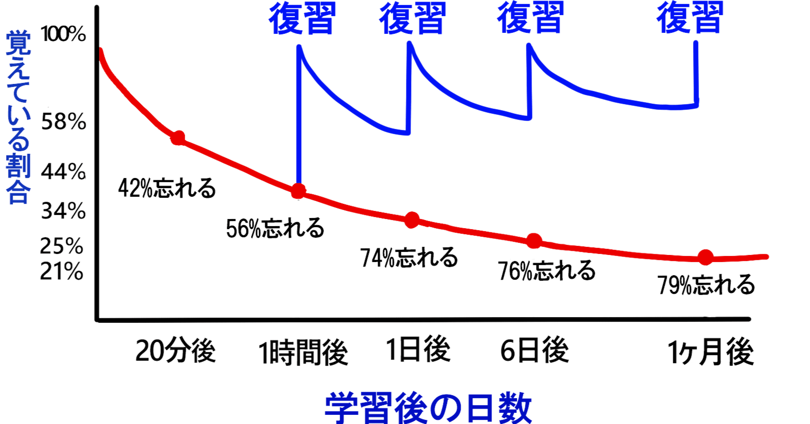 エビングハウスの忘却曲線」を正しく理解【割合は参考外だけど意味はある】｜がくまるい＠教育学Vtuber