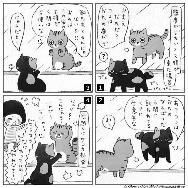 #ねこ #ネコ #猫 #イラスト #絵日記 #4コマ #ペット LINEスタンプ / http://line.me/S/sticker/1006209 猫様で検索 ;)