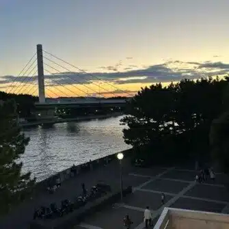 柊