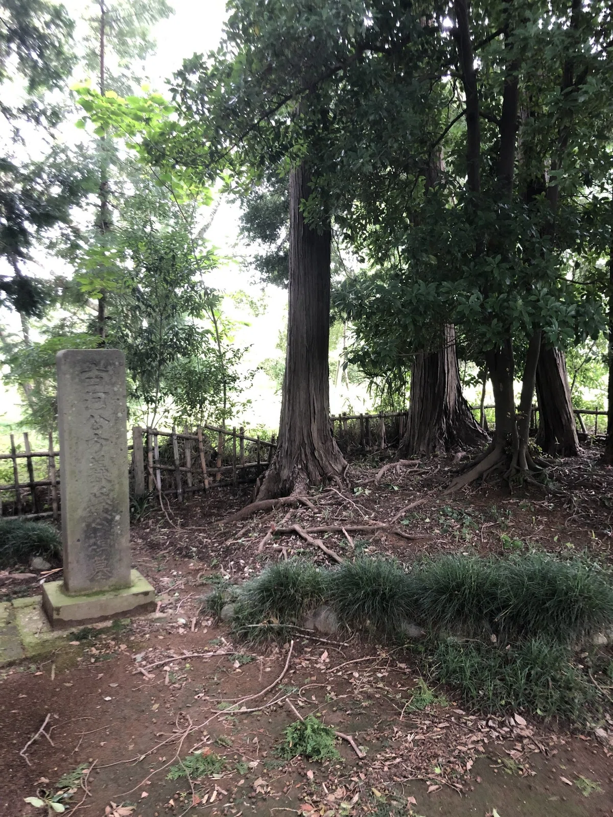 雑記：鴻巣御所と御所塚｜綾