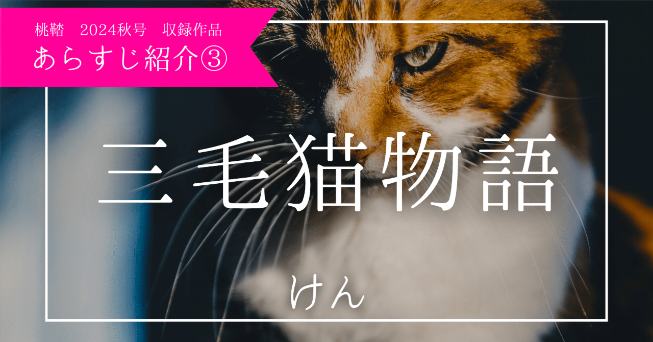 rectangle_large_type_2_d1719d8