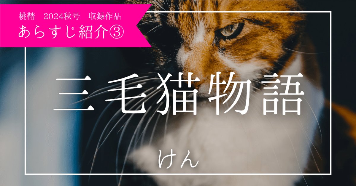 三毛猫物語【あらすじ、筆者紹介】｜桃鞜社