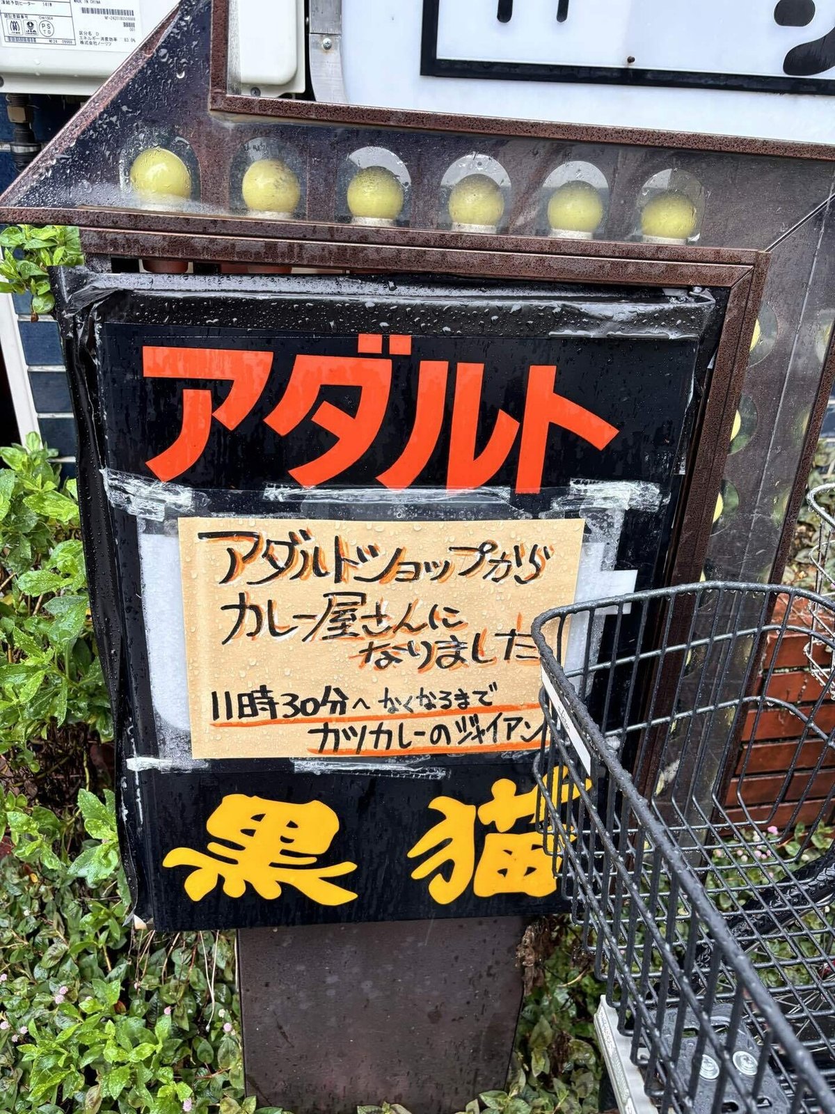 アダルトショップ 
