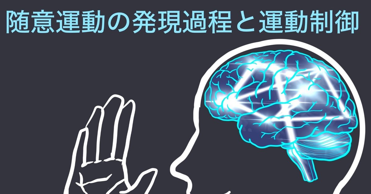 随意運動の発現過程と運動制御について解説！【For 理学療法士